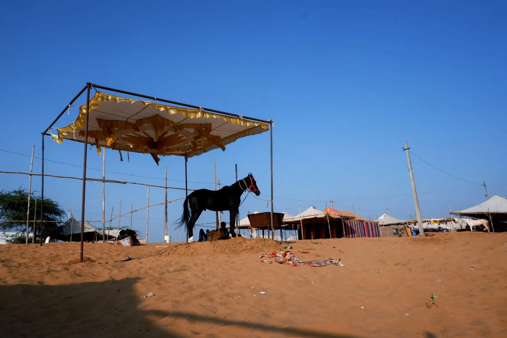 Life in Pushkar photograph 7
